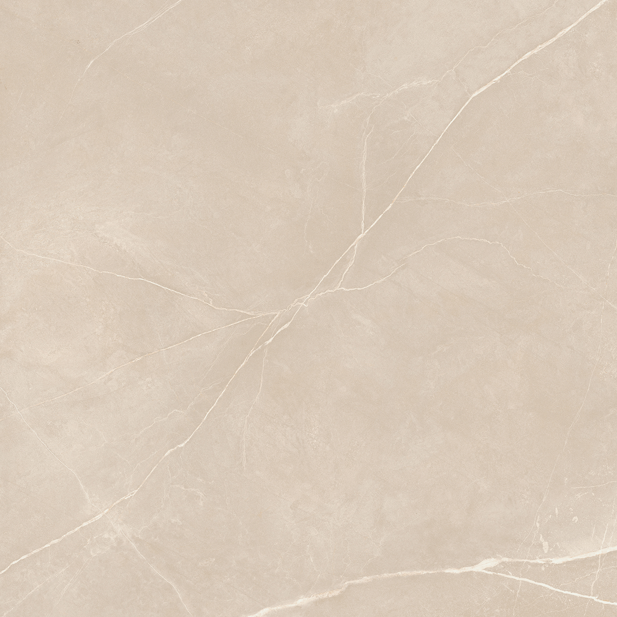 Плитка из керамогранита NL01 60x60x10 Полир. (Керамический гранит)