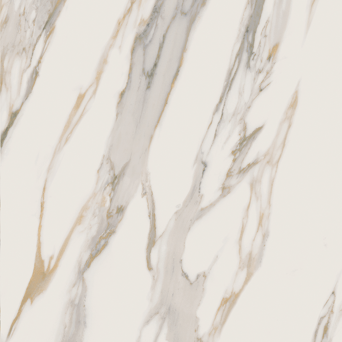 Плитка из керамогранита RM01 60x60x10 Полир. (Керамический гранит)
