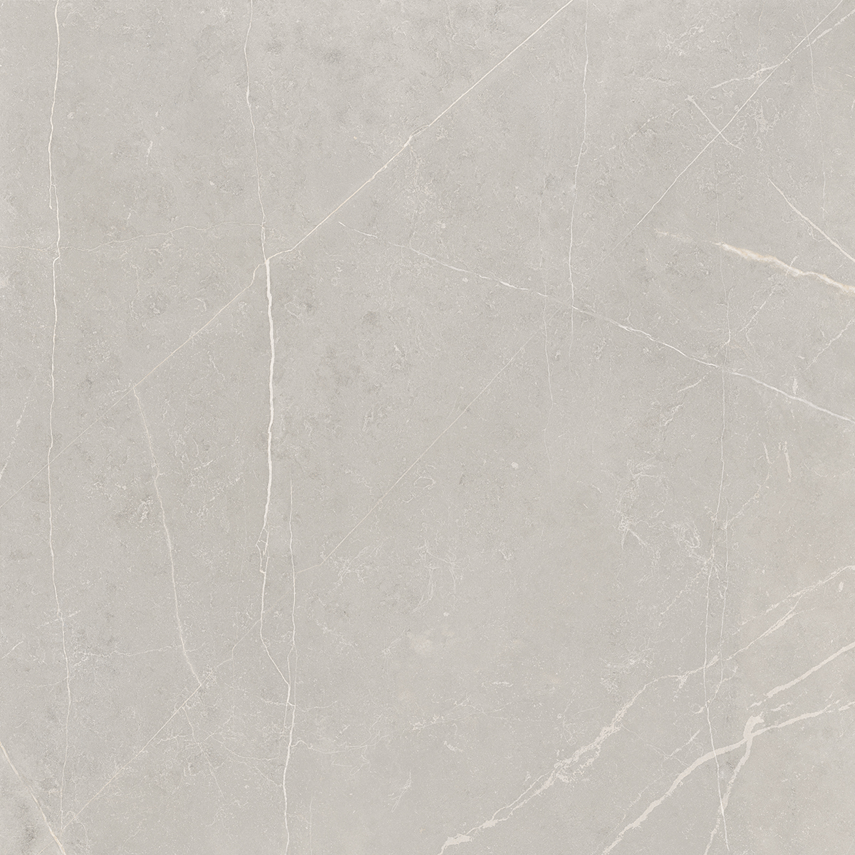 Плитка из керамогранита NL02 60x60x10 Полир. (Керамический гранит)