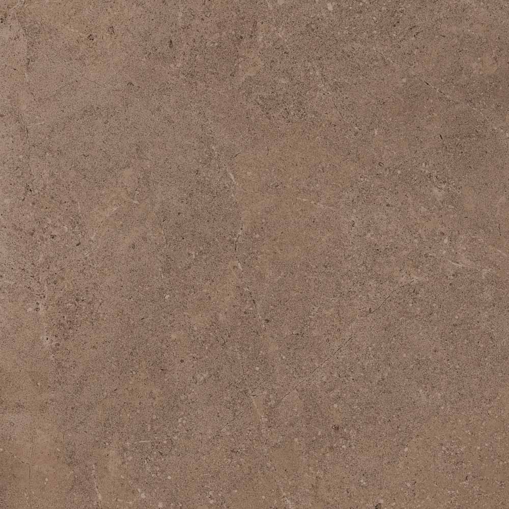 Плитка из керамогранита GO02 60x60 Непол.Рект. (Керамический гранит)