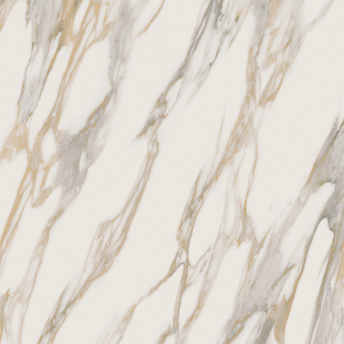 Плитка из керамогранита RM01 60x60x10 Полир. (Керамический гранит)