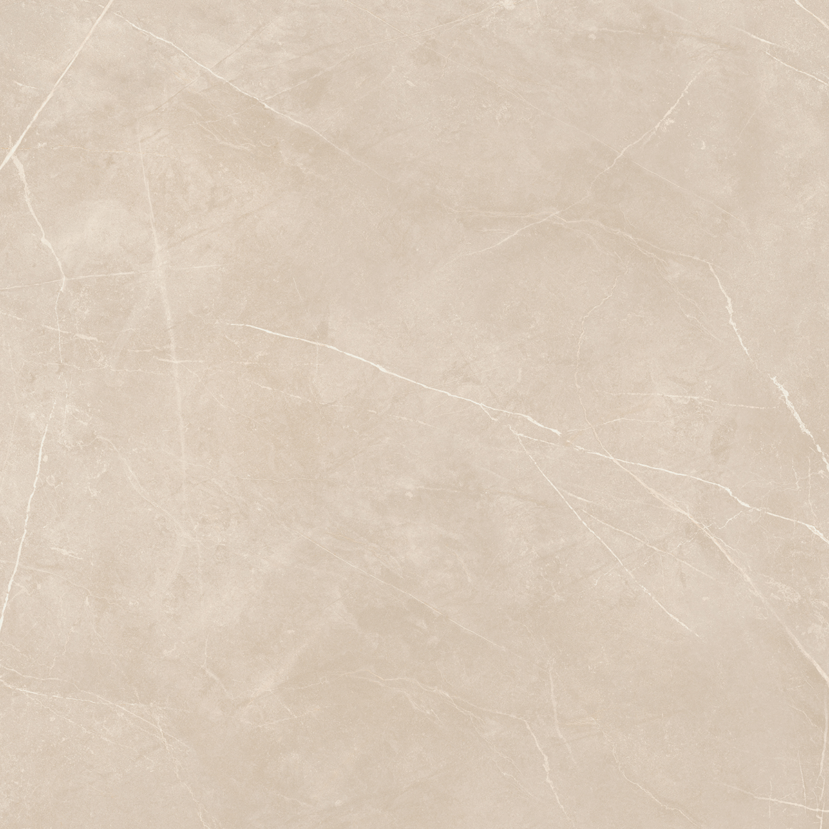 Плитка из керамогранита NL01 60x60x10 Полир. (Керамический гранит)