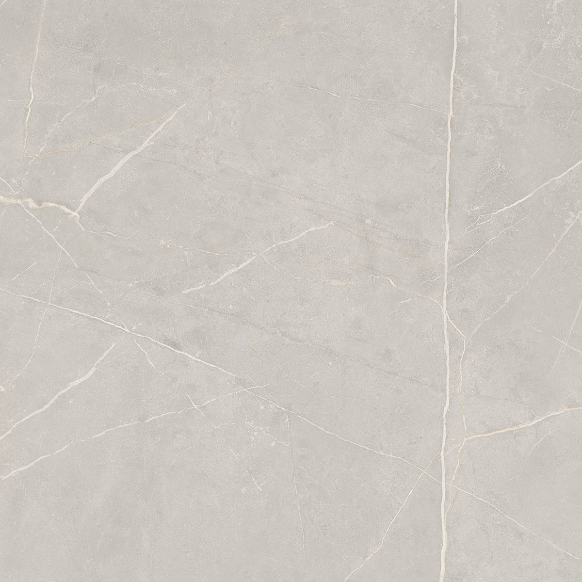 Плитка из керамогранита NL02 60x60x10 Полир. (Керамический гранит)
