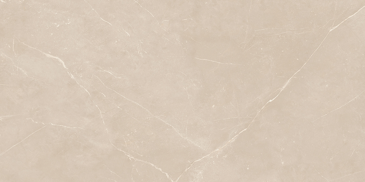 Плитка из керамогранита NL01 60x120x10 Непол.Рект. (Керамический гранит)