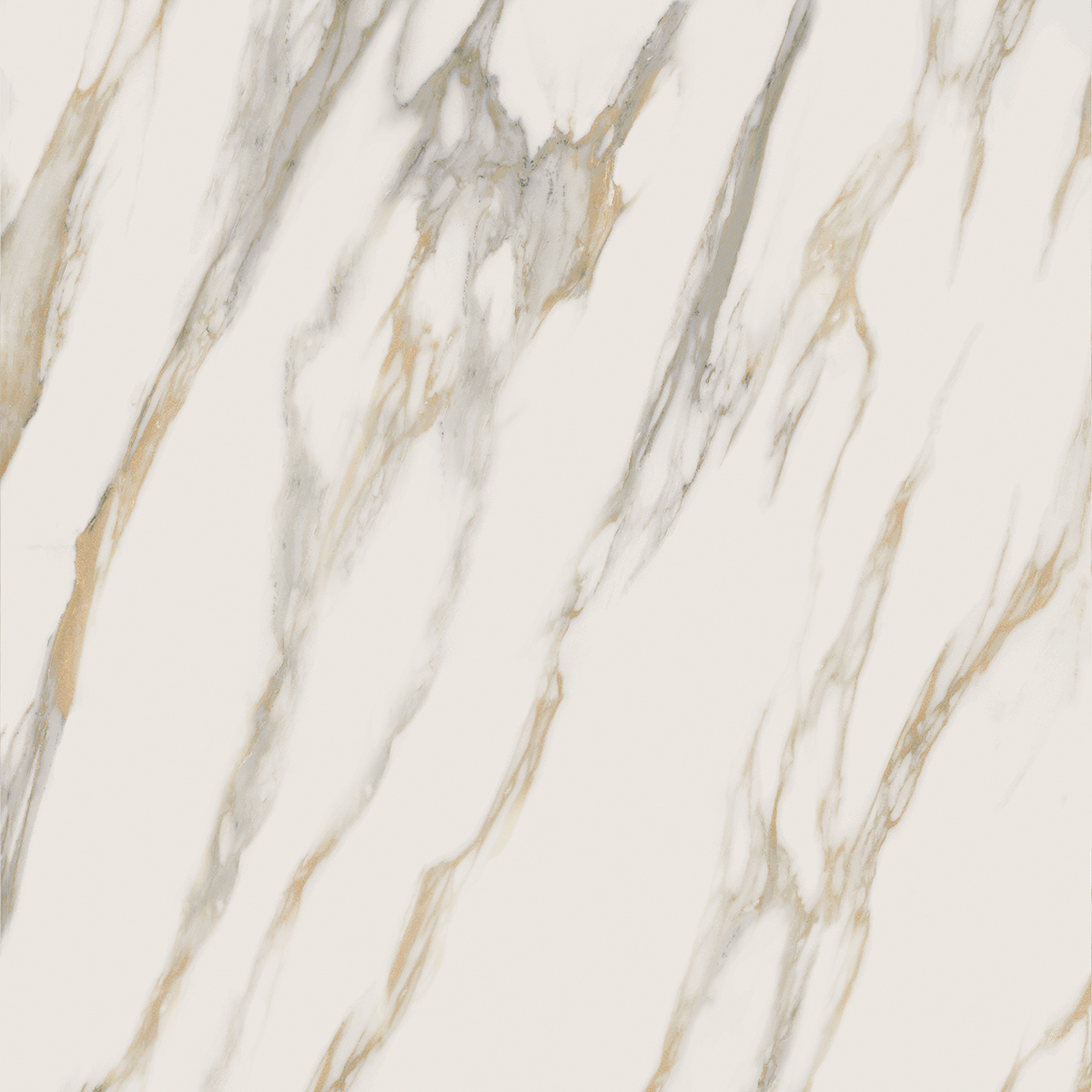 Плитка из керамогранита RM01 80x80x11 Непол.Рект. (Керамический гранит)