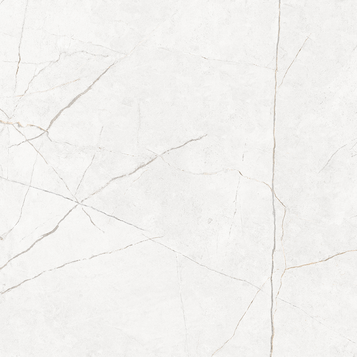Плитка из керамогранита NL00 60x60x10 Полир. (Керамический гранит)