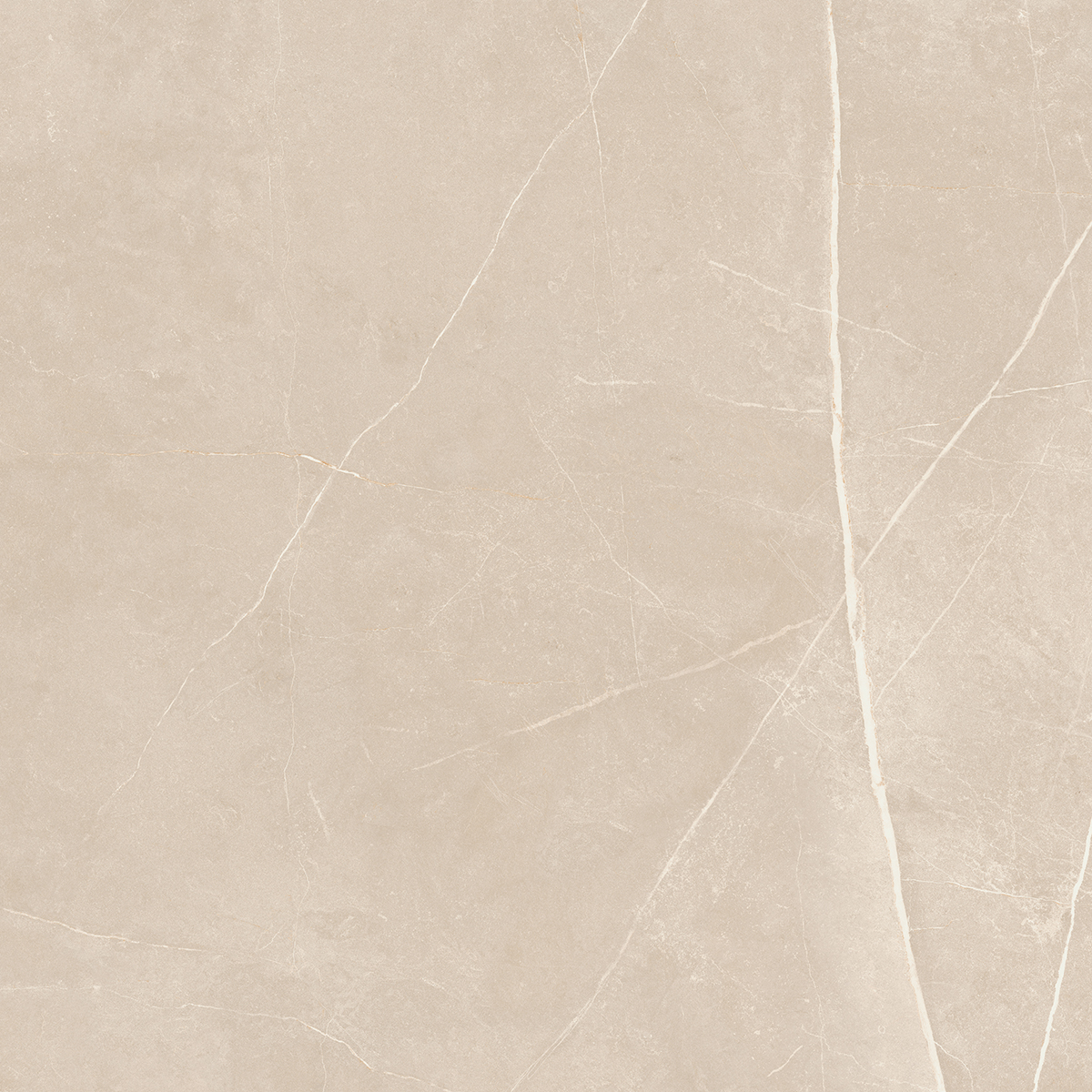 Плитка из керамогранита NL01 60x60x10 Полир. (Керамический гранит)