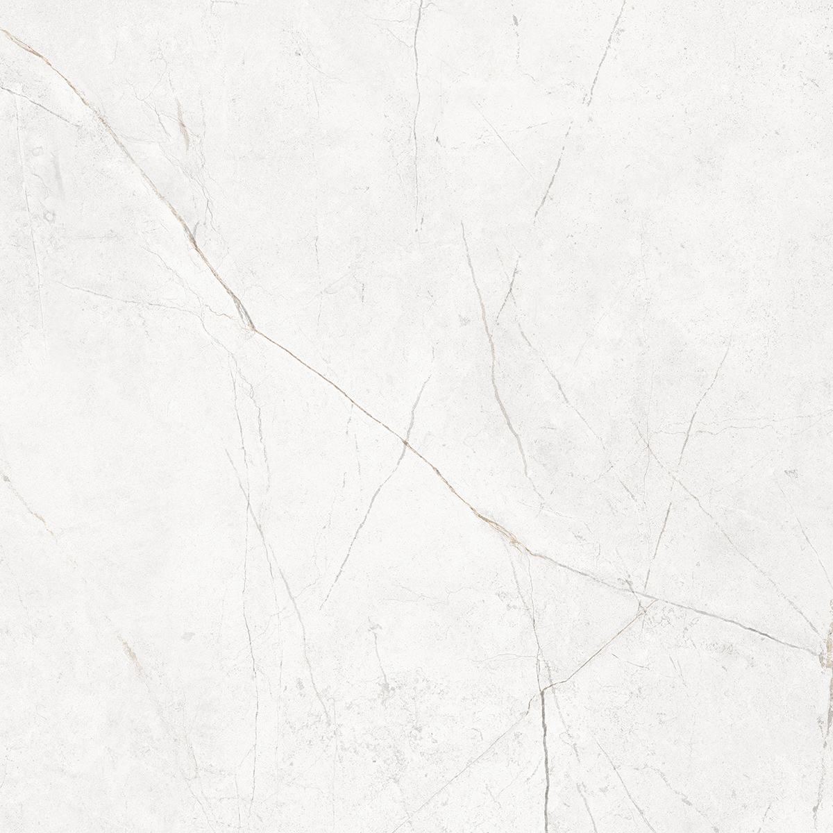 Плитка из керамогранита NL00 60x60x10 Полир. (Керамический гранит)