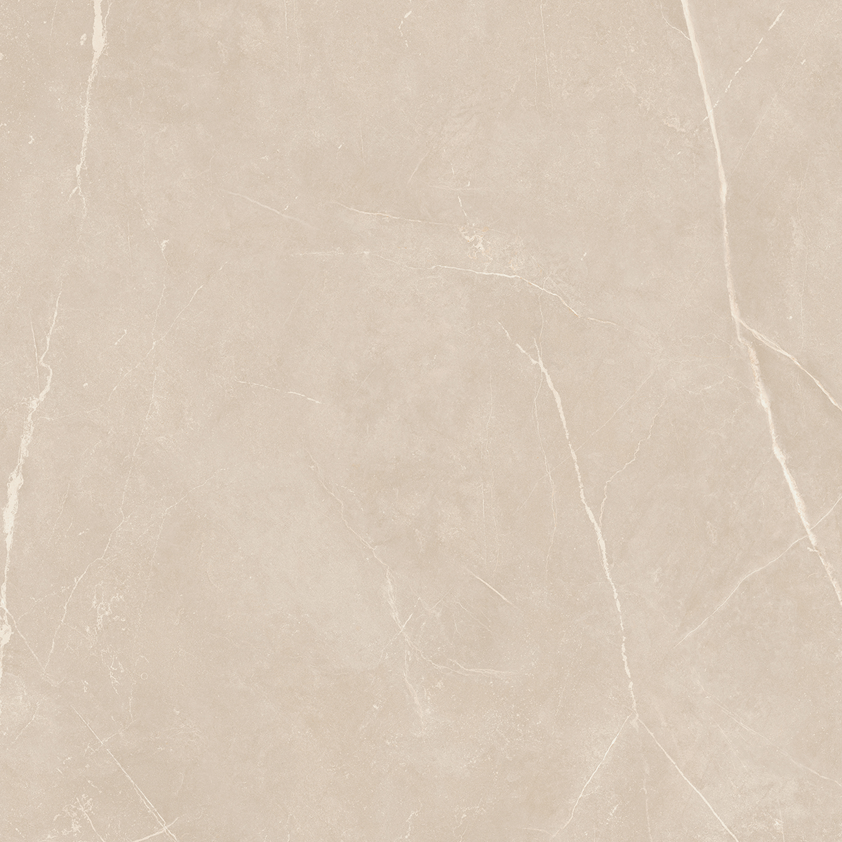 Плитка из керамогранита NL01 60x60x10 Полир. (Керамический гранит)