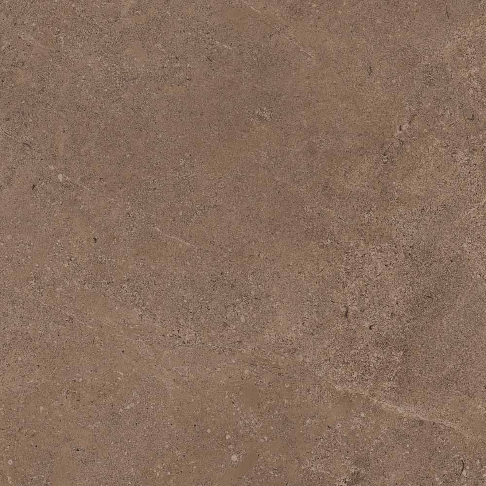 Плитка из керамогранита GO02 60x60 Непол.Рект. (Керамический гранит)