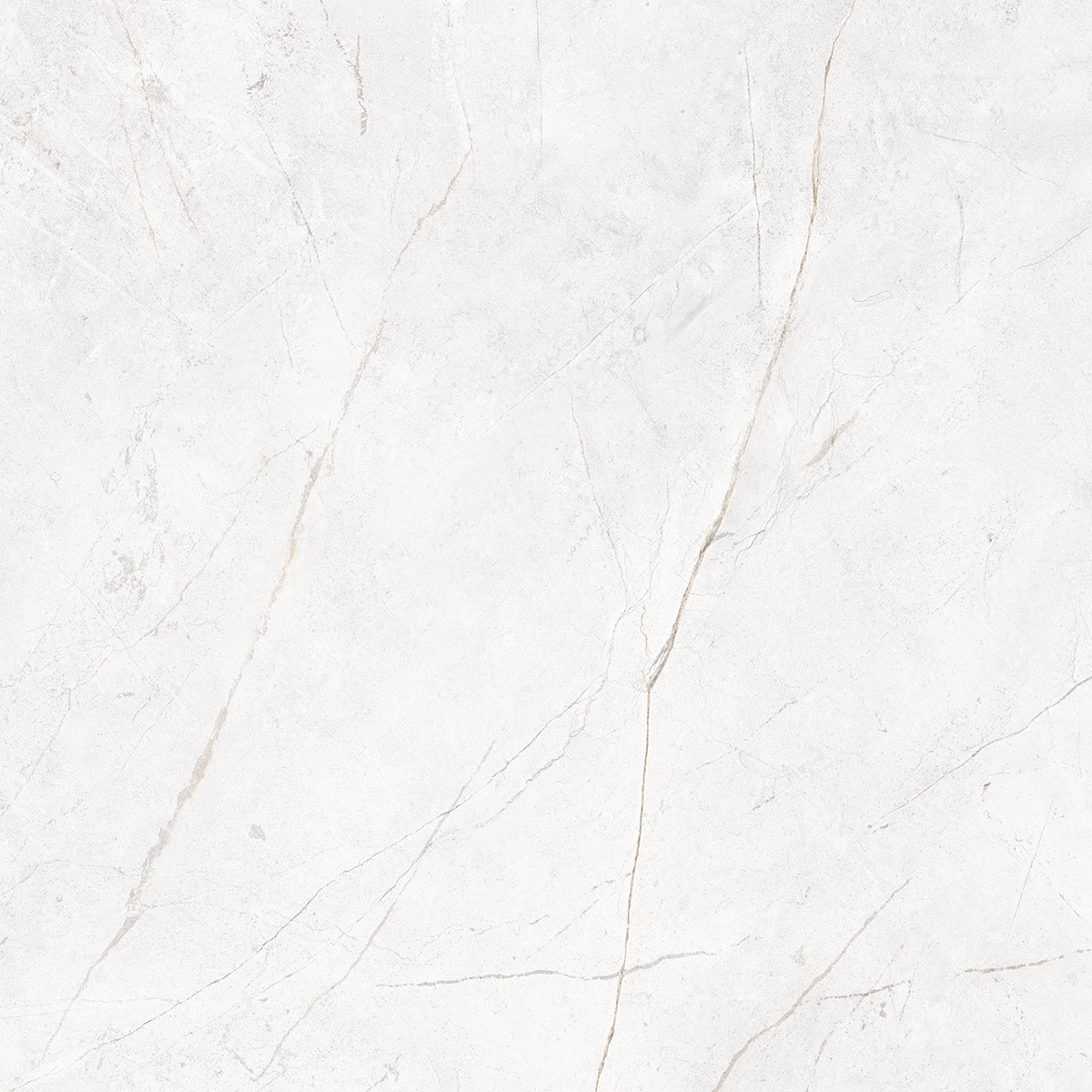 Плитка из керамогранита NL00 60x60x10 Полир. (Керамический гранит)