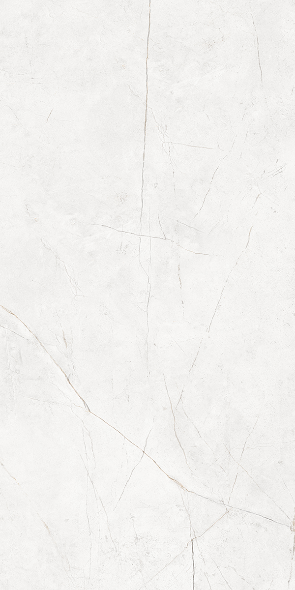 Плитка из керамогранита NL00 60x120x10 Полир. (Керамический гранит)
