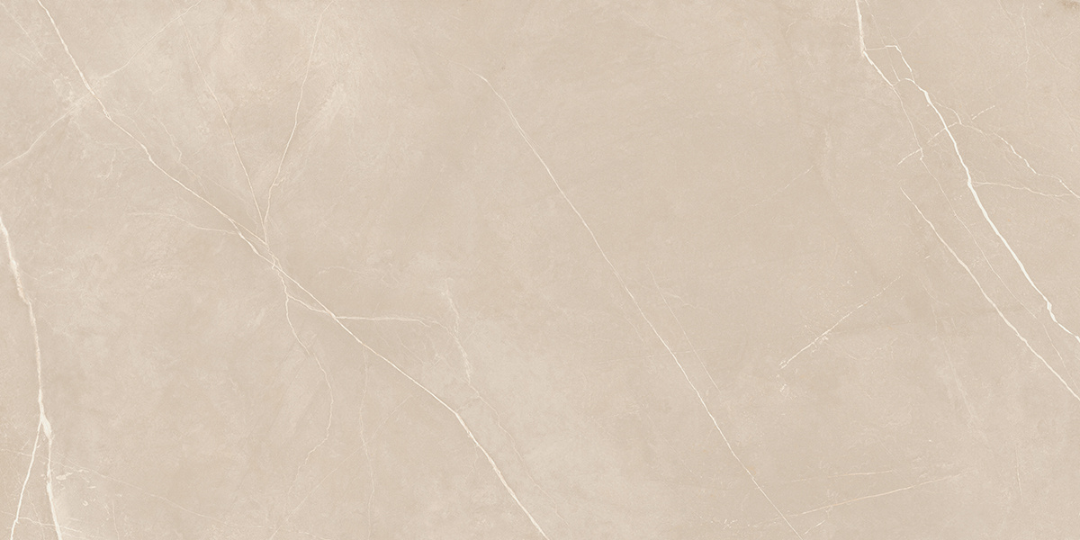 Плитка из керамогранита NL01 60x120x10 Непол.Рект. (Керамический гранит)