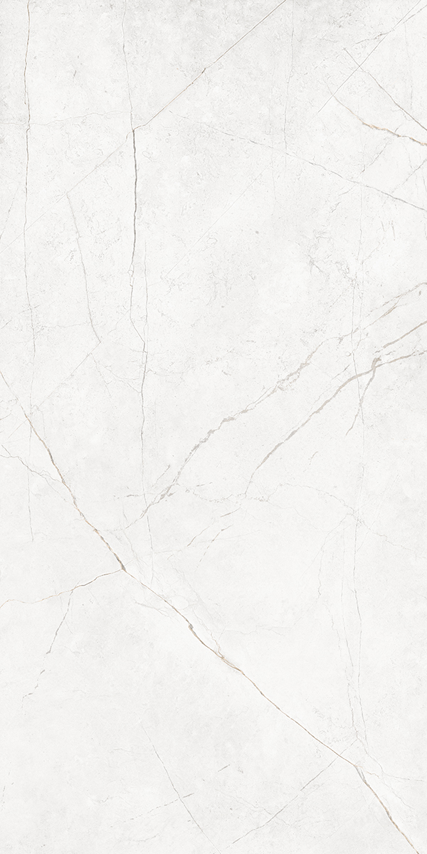 Плитка из керамогранита NL00 60x120x10 Полир. (Керамический гранит)
