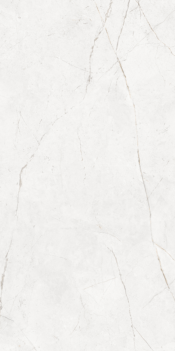 Плитка из керамогранита NL00 60x120x10 Полир. (Керамический гранит)