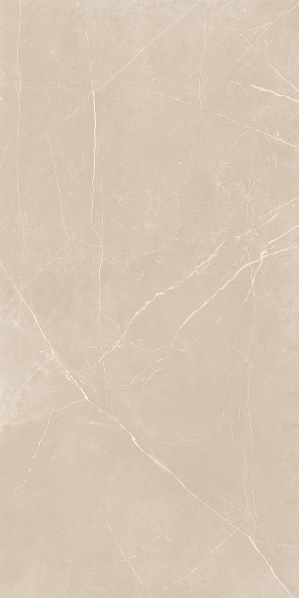 Плитка из керамогранита NL01 60x120x10 Полир. (Керамический гранит)