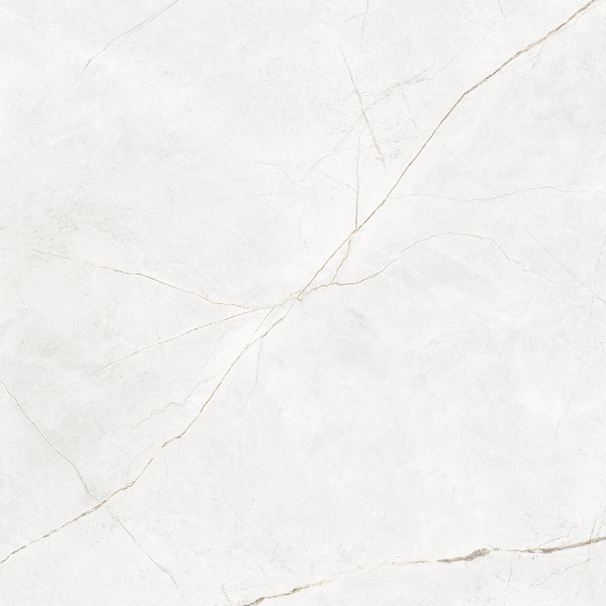 Плитка из керамогранита NL00 60x60x10 Полир. (Керамический гранит)