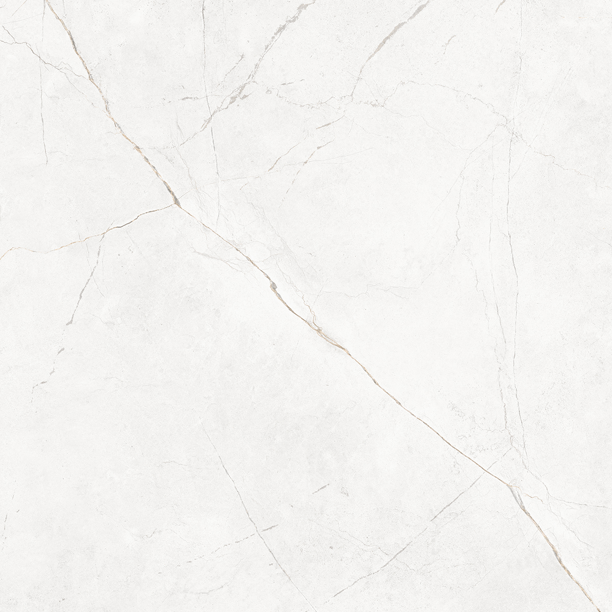 Плитка из керамогранита NL00 60x60x10 Полир. (Керамический гранит)