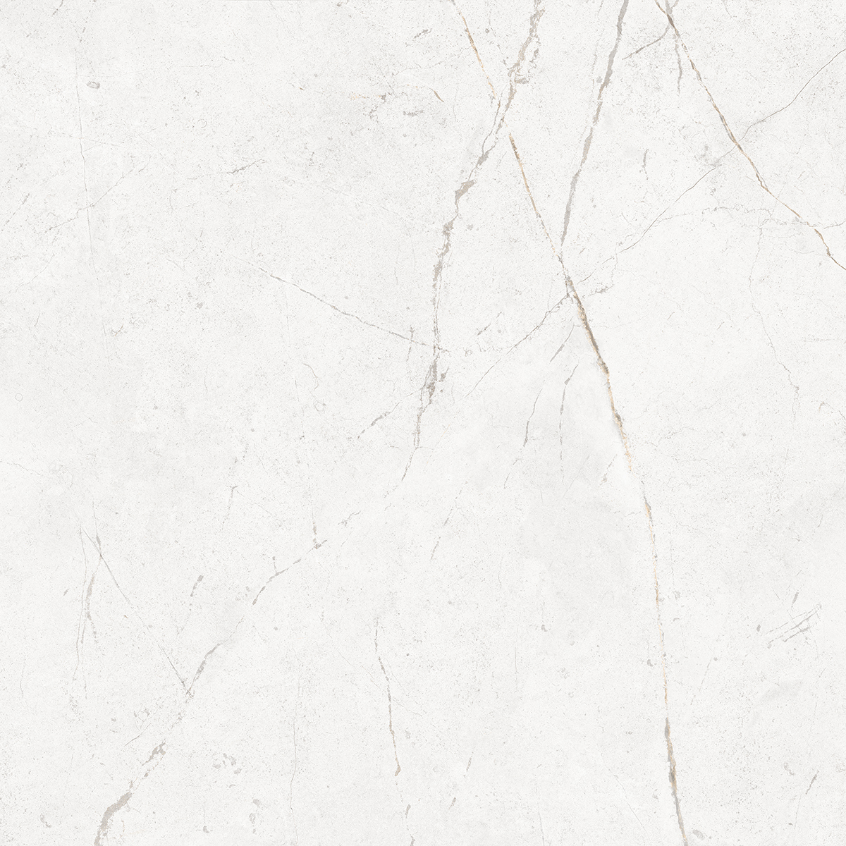 Плитка из керамогранита NL00 60x60x10 Полир. (Керамический гранит)