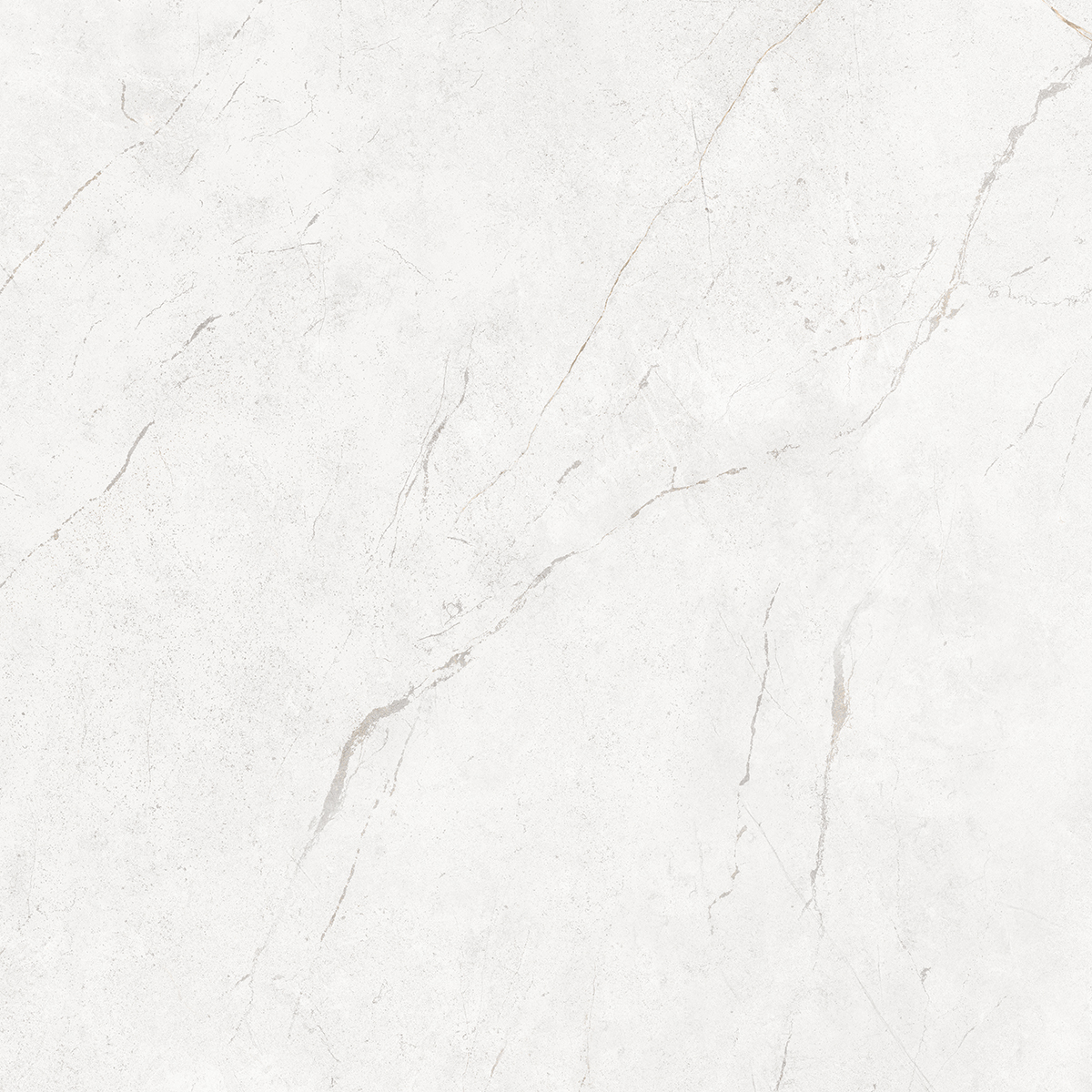 Плитка из керамогранита NL00 60x60x10 Полир. (Керамический гранит)