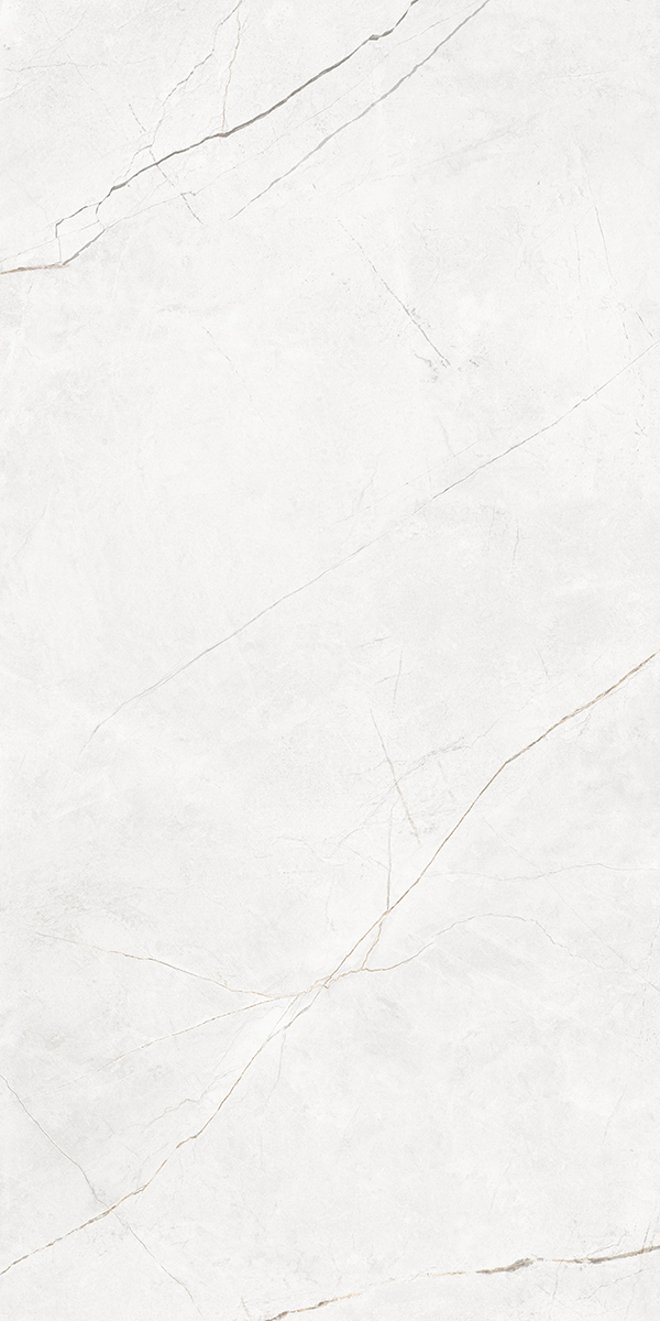Плитка из керамогранита NL00 60x120x10 Полир. (Керамический гранит)