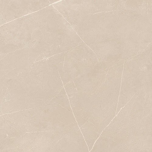 Плитка из керамогранита NL01 60x60x10 Полир. (Керамический гранит)