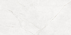 Плитка из керамогранита NL00 60x120x10 Полир. (Керамический гранит)
