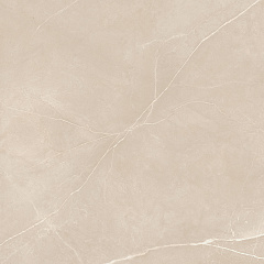 Плитка из керамогранита NL01 60x60x10 Полир. (Керамический гранит)