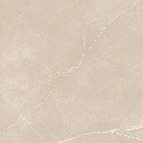 Плитка из керамогранита NL01 60x60x10 Полир. (Керамический гранит)