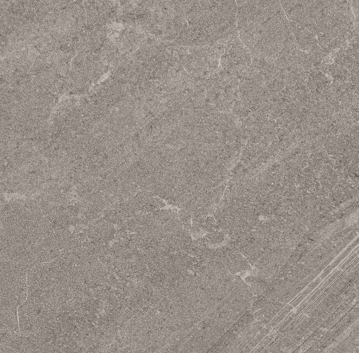 Плитка из керамогранита SOG202 60x60x20 Противоскольз.Рект. (Керамический гранит)