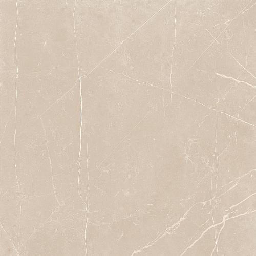 Плитка из керамогранита NL01 60x60x10 Полир. (Керамический гранит)