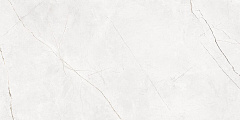 Плитка из керамогранита NL00 60x120x10 Непол.Рект. (Керамический гранит)