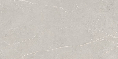 Плитка из керамогранита NL02 60x120x10 Непол.Рект. (Керамический гранит)
