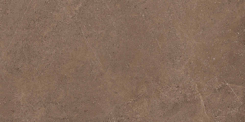 Плитка из керамогранита GO02 60x120x10 Непол.Рект. (Керамический гранит)
