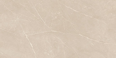 Плитка из керамогранита NL01 60x120x10 Полир. (Керамический гранит)