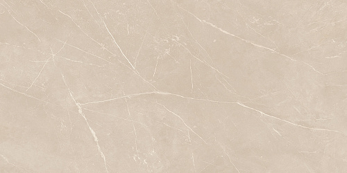 Плитка из керамогранита NL01 60x120x10 Полир. (Керамический гранит)