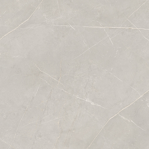 Плитка из керамогранита NL02 60x60x10 Полир. (Керамический гранит)