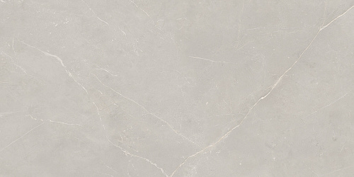 Плитка из керамогранита NL02 60x120x10 Полир. (Керамический гранит)