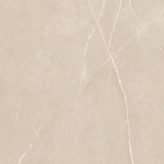Плитка из керамогранита NL01 60x60x10 Полир. (Керамический гранит)