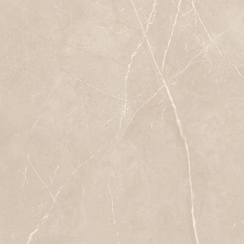 Плитка из керамогранита NL01 60x60x10 Полир. (Керамический гранит)