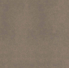 Плитка из керамогранита CA04 60x60x10 Непол.Рект. (Керамический гранит)