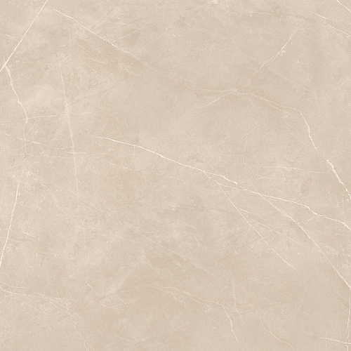 Плитка из керамогранита NL01 60x60x10 Полир. (Керамический гранит)