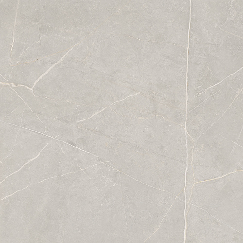 Плитка из керамогранита NL02 60x60x10 Полир. (Керамический гранит)
