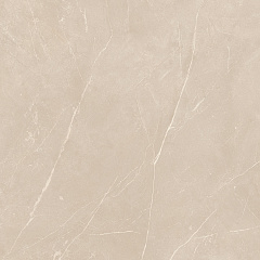 Плитка из керамогранита NL01 60x60x10 Полир. (Керамический гранит)