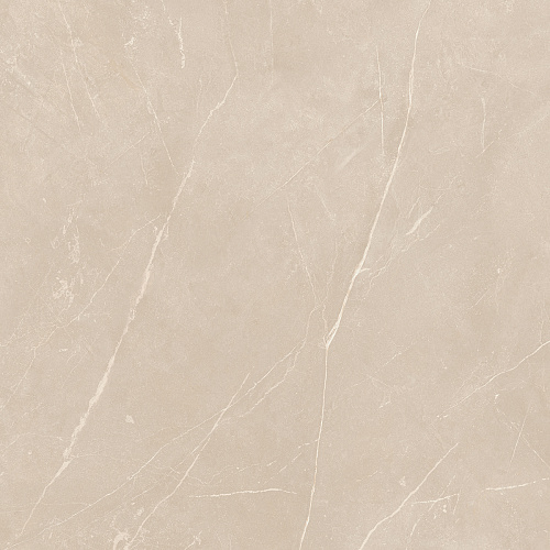 Плитка из керамогранита NL01 60x60x10 Полир. (Керамический гранит)