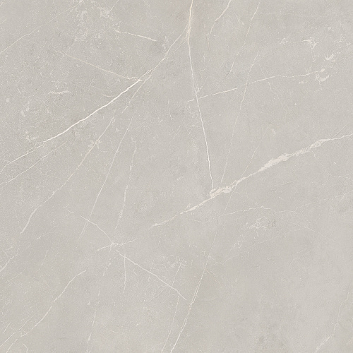 Плитка из керамогранита NL02 60x60x10 Полир. (Керамический гранит)