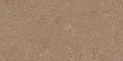 Плитка из керамогранита NP03 30,6x60,9x8 Непол. (Керамический гранит)