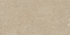 Плитка из керамогранита NP02 30,6x60,9x8 Непол. (Керамический гранит)