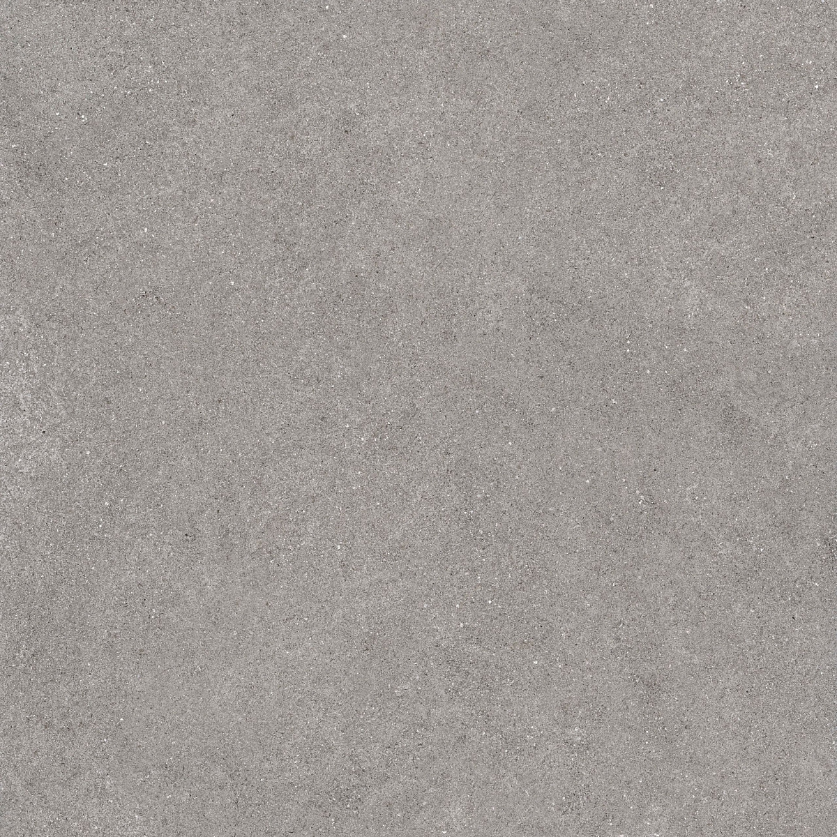 Плитка из керамогранита LN02 60x60x10 Непол.Рект. (Керамический гранит)