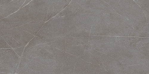 Плитка из керамогранита NL03 60x120x10 Непол.Рект. (Керамический гранит)